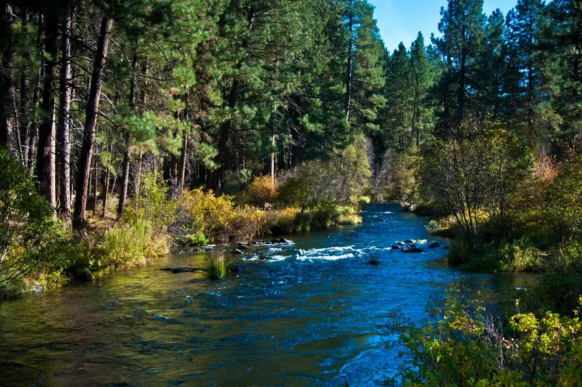 Metolius River near Camp Sherman in the Deschutes National Forest, northwest of Sisters